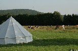 Gro&szlig;ansicht durch Klicken!